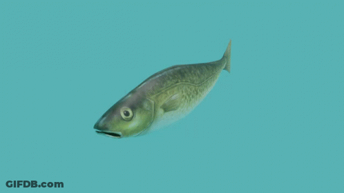 Fish With Yellow Tail Swimming In Blue Water GIF