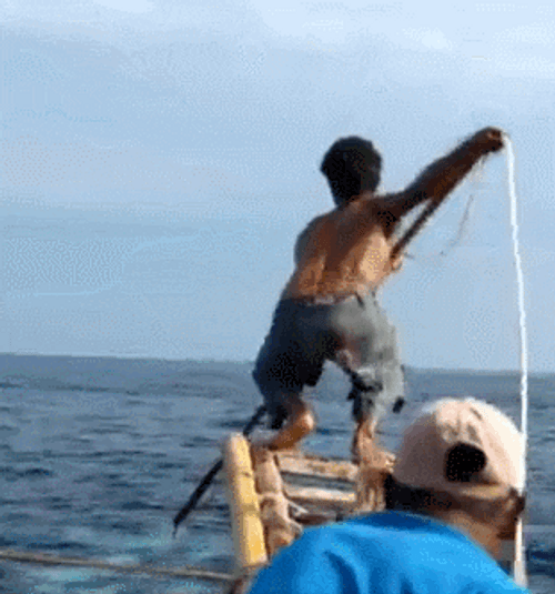 Fisher Whale Hunting GIF