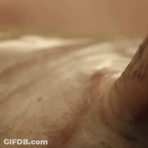 Fishing Man With Catfish GIF