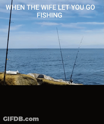 Fishing Rods On Rocky Shore When Wife Let You Go GIF