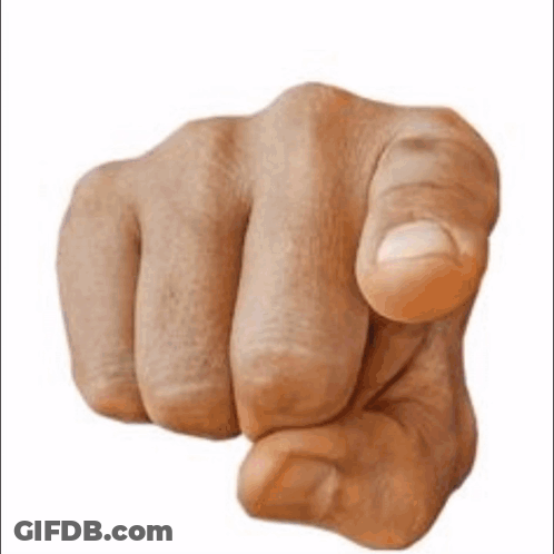 Fist Pointing At Camera GIF