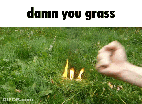 Fist Thrown In Grass Saying Damn You Grass GIF