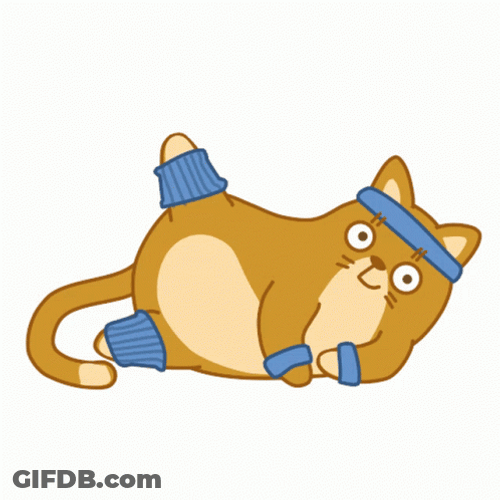 Fit Cat Exercise GIF