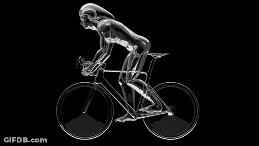 Fitness Biking Cycling Bicycle GIF