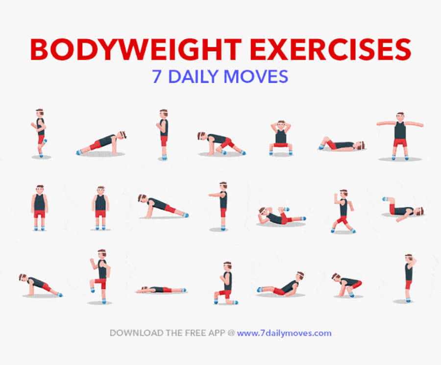 Fitness Body Weight Exercises GIF