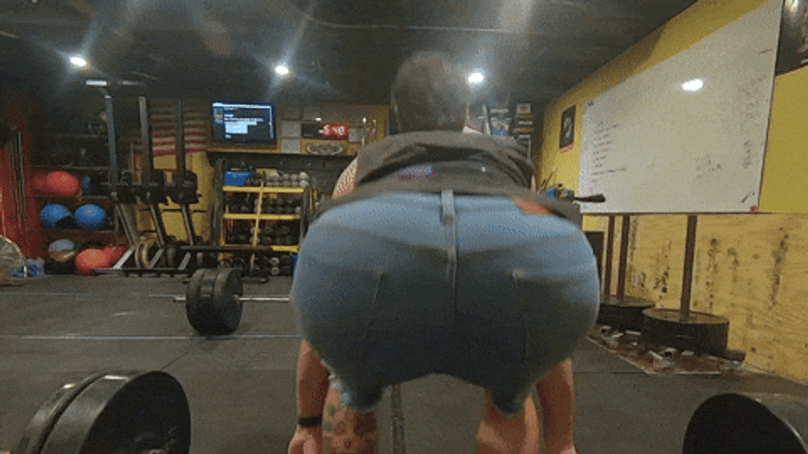 Fitness Crossfit Jorts GIF