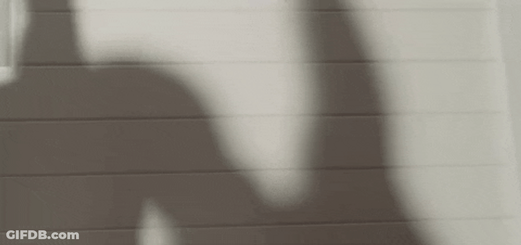 Fitness Shadow Working Out GIF
