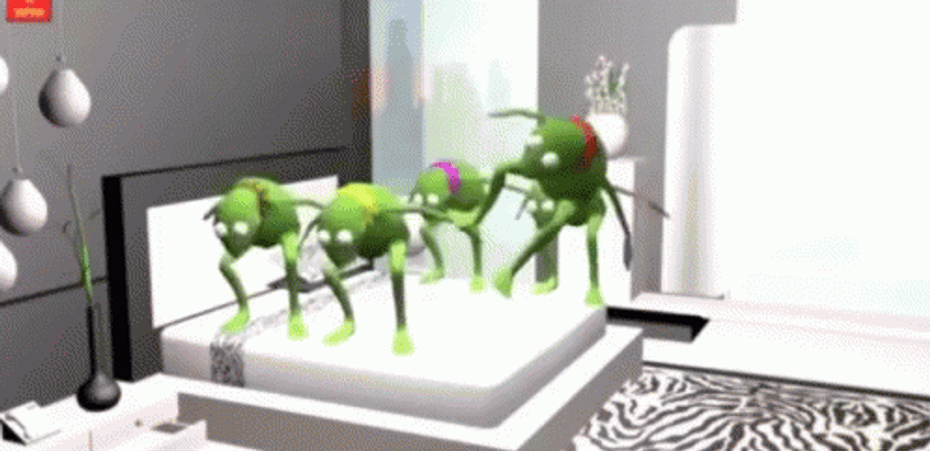 Five Kermit Dancing GIF