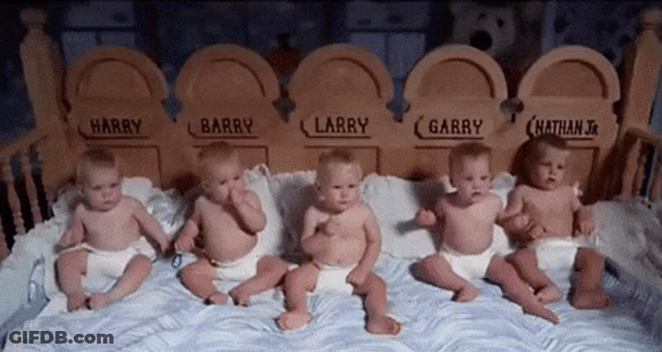 Five Quiet Nepo Baby GIF