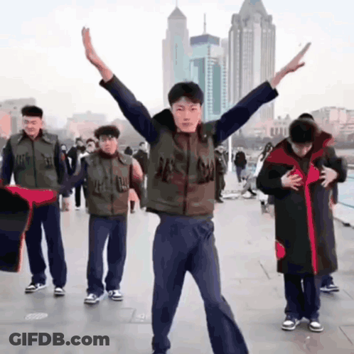 Fjans Dance GIF