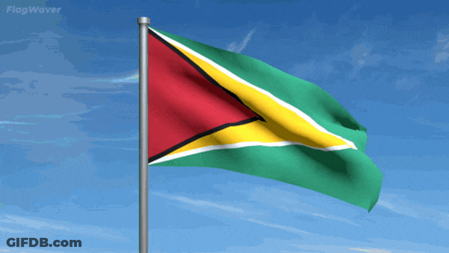 Flag Guyana GIF