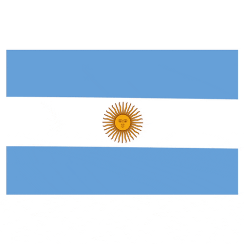 Flag Of Argentina Waving GIF