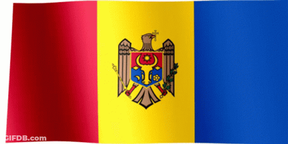 Flag Of Moldova GIF