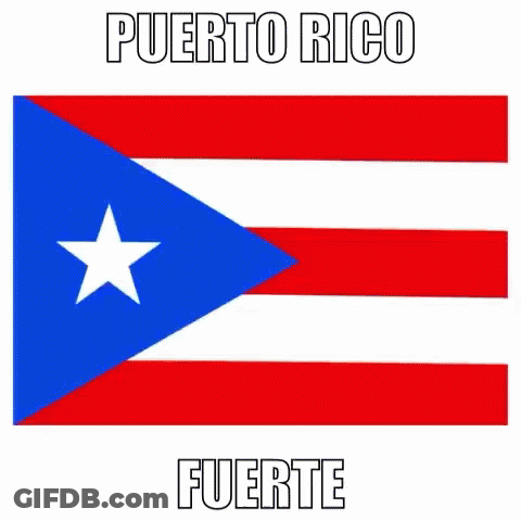 Flag Of Puerto Rico Red White Blue With White Star GIF