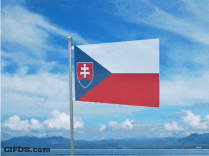 Flag Of Slovakia Waving GIF