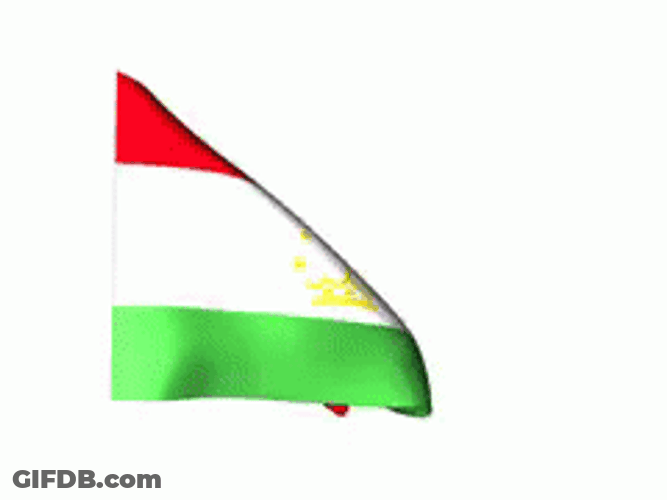 Flag Of Tajikistan GIF
