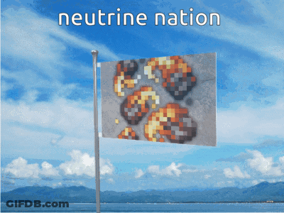 Flag Saying Neutrine Nation GIF