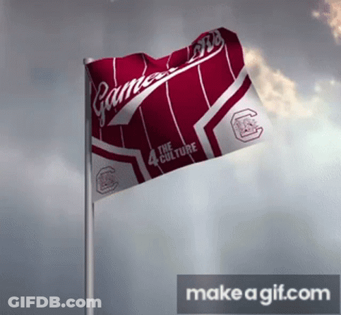Flag Saying The Culture Flying In Wind GIF