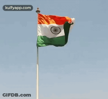 Flag Waving GIF