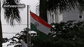 Flag Waving In Front Of Building And Palm Trees GIF