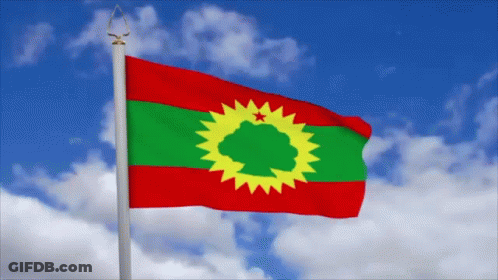 Flag Waving In Wind GIF