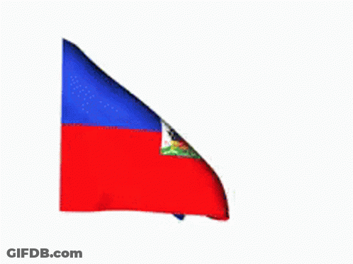 Flag Waving In Wind GIF