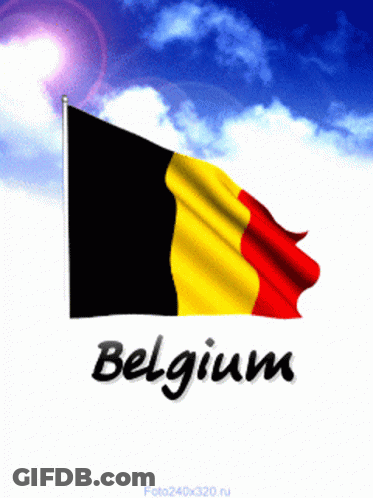 Flag With Belgium GIF