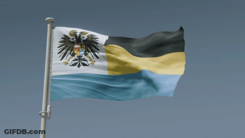 Flag With Black Eagle Flying GIF