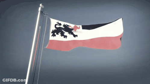 Flag With Black Lion Flying In Wind GIF