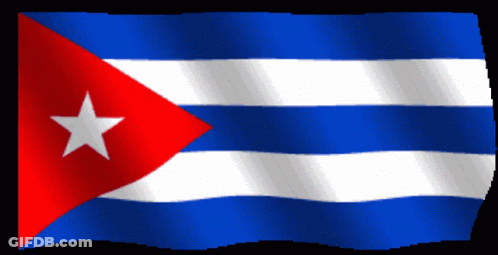 Flag With Blue White Red And Star GIF