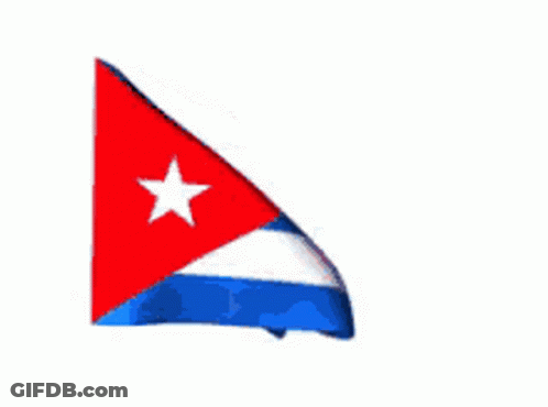 Flag With Blue White Red And Star GIF