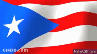Flag With Blue White Red And White Star GIF