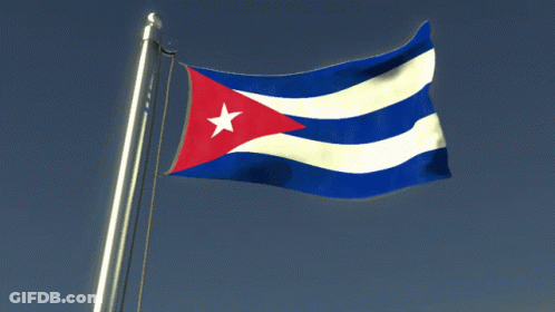 Flag With Blue White Red And White Star GIF