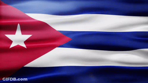 Flag With Blue White Red And White Star GIF