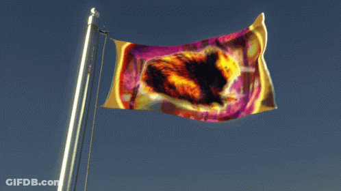 Flag With Cat Waving In Wind GIF