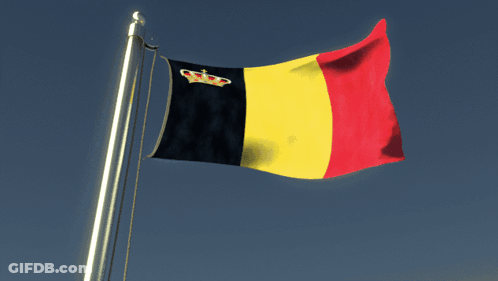 Flag With Crown GIF