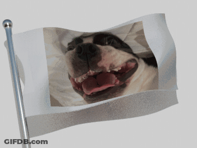 Flag With Dog GIF