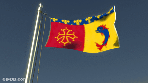 Flag With Dolphin In Red Yellow And Blue GIF