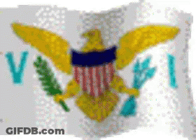 Flag With Eagle Letters V And Pi GIF