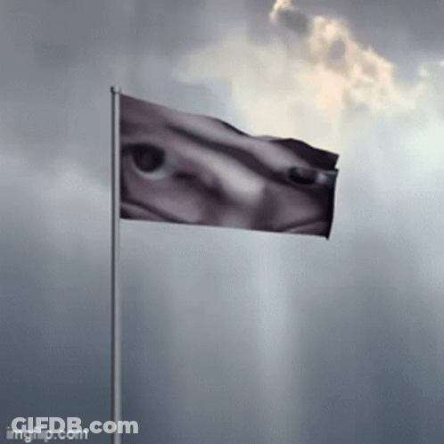 Flag With Face Picture GIF