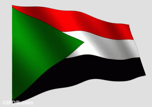 Flag With Green Triangle GIF