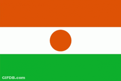 Flag With Green White Orange And White Circle GIF