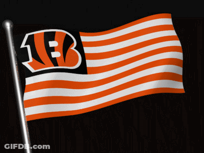 Flag With Letter B Waving GIF