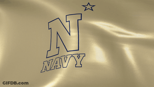 Flag With Letter N And Navy GIF