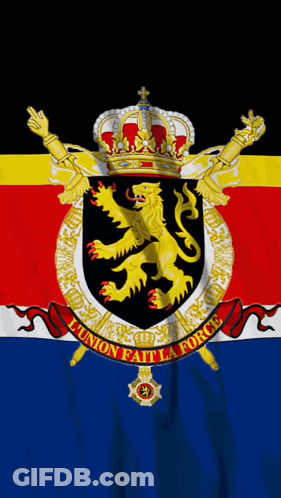 Flag With Lion And Union Fait La Force GIF