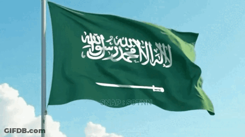 Flag With Man On Horse Holding Sword GIF