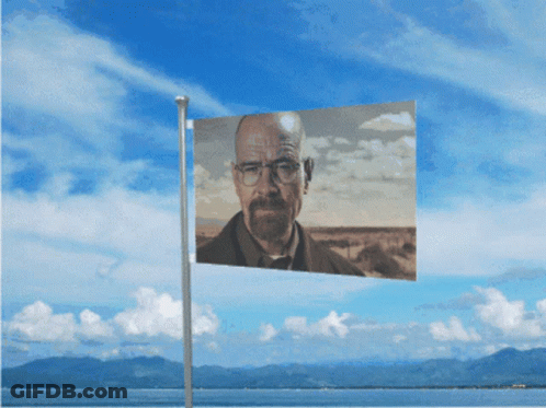 Flag With Man With Glasses And Beard GIF