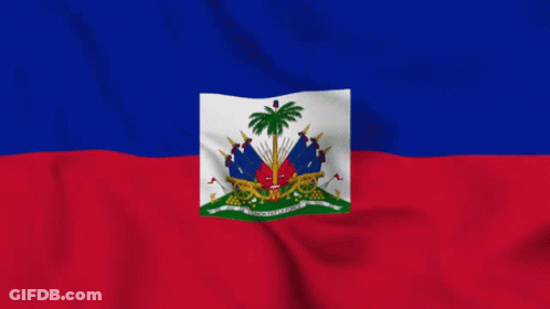 Flag With Palm Tree GIF