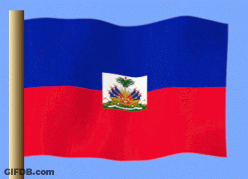 Flag With Palm Tree In Red And Blue GIF