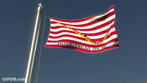Flag With Snake Saying Don't Tread On Me GIF